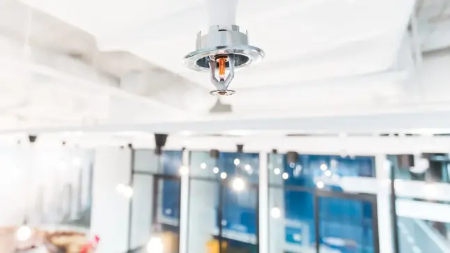 IoT Consulting